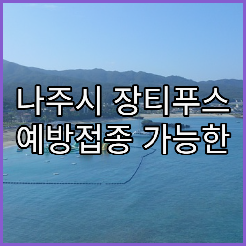 나주시 장티푸스 예방접종 가능한 병원 정보와 사전 준비 및 비용 가이드