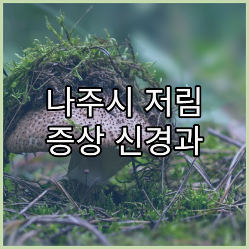 나주시 저림 증상 신경과 클리닉 정보 제공