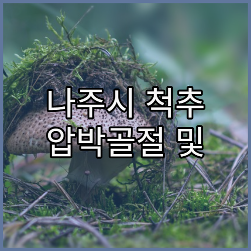 나주시 척추 압박골절 및 허리 통증 치료 병원 리스트와 골다공증 연계 치료 프로그램