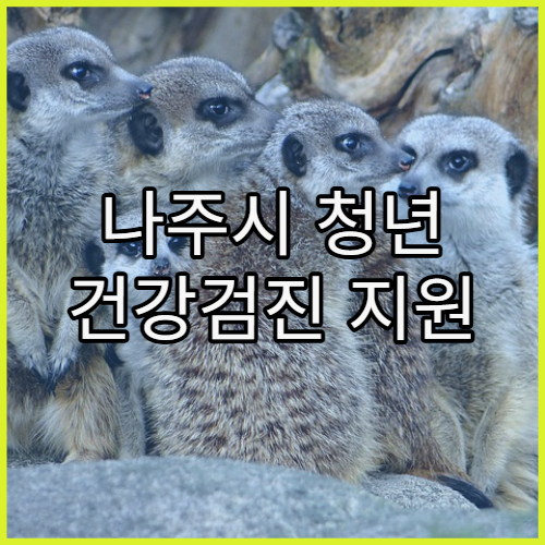 나주시 청년 건강검진 지원 프로그램 운영 현황