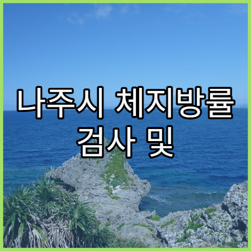 나주시 체지방률 검사 및 맞춤 다이어트 병원 추천과 InBody 분석 기반 식단 설계 안내