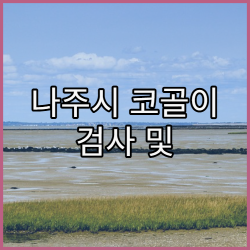나주시 코골이 검사 및 수면무호흡증 전문 치료 제공하는 병원 리스트 정리