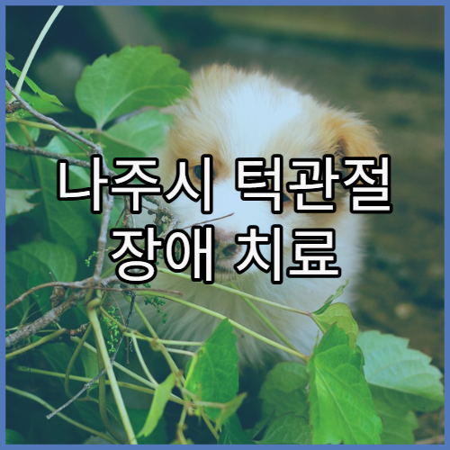 나주시 턱관절 장애 치료 및 교정 가능한 병원 추천과 보톡스·교정 치료 비교 안내