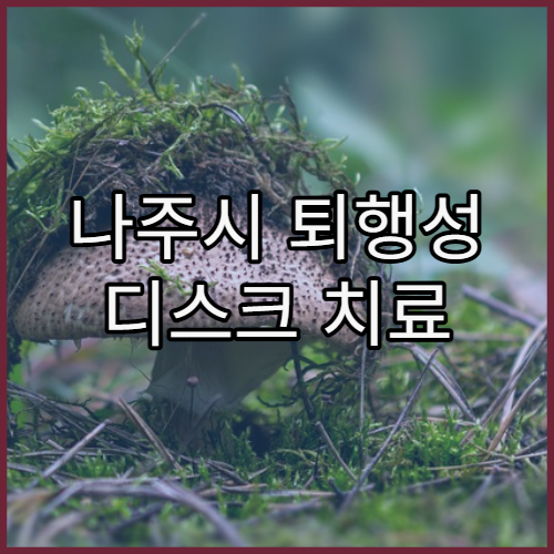 나주시 퇴행성 디스크 치료 및 비수술 요법 가능한 병원 추천과 추나·물리치료 안내