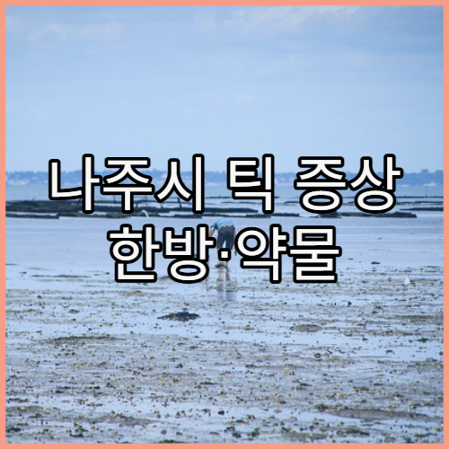 나주시 틱 증상 한방·약물 치료 병원 가이드