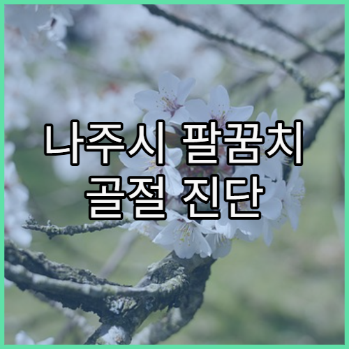 나주시 팔꿈치 골절 진단 및 수술 가능한 병원 안내와 골절 유형별 치료 옵션 정보