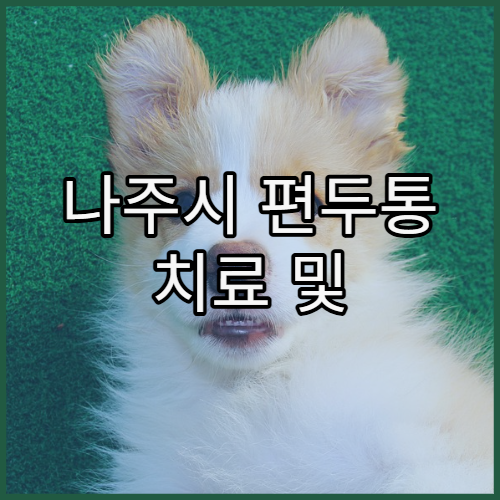 나주시 편두통 치료 및 만성 두통 정밀 검사 병원 찾기와 뇌파·혈관 검사 과정