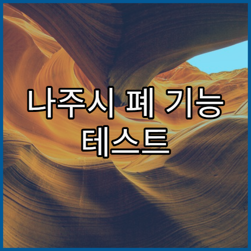 나주시 폐 기능 테스트 절차 병원 안내