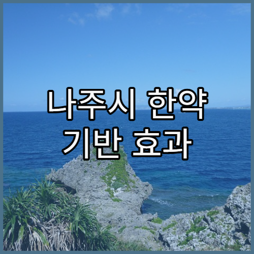 나주시 한약 기반 효과 다이어트 처방 한의원 탐방