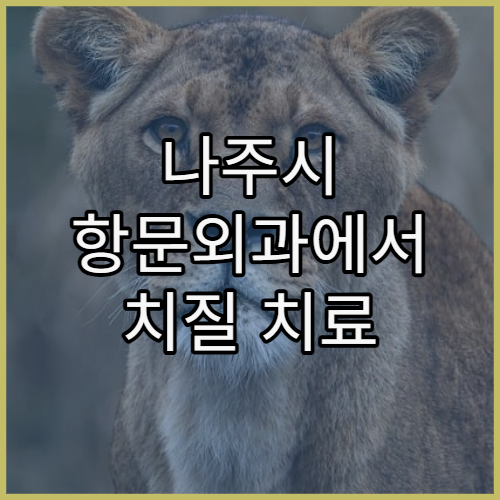 나주시 항문외과에서 치질 치료 및 재발 방지 관리 방법 상세 안내 병원 추천