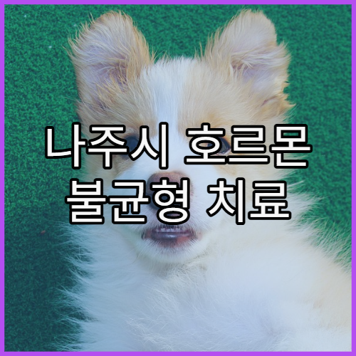 나주시 호르몬 불균형 치료 내분비내과 병원