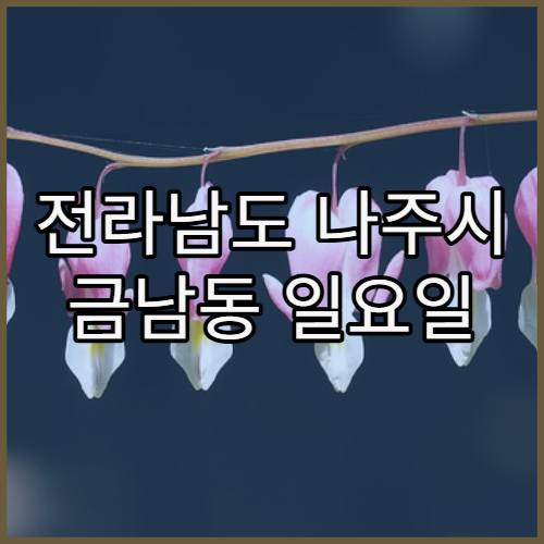 전라남도 나주시 금남동 일요일 당직 약국 찾기 및 운영시간 안내