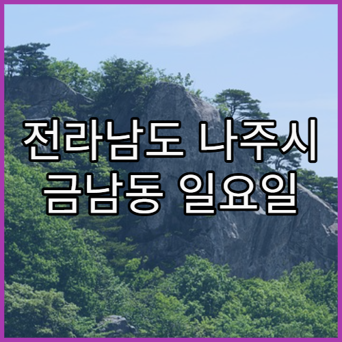 전라남도 나주시 금남동 일요일 진료 병원 위치와 주말 진료 정보