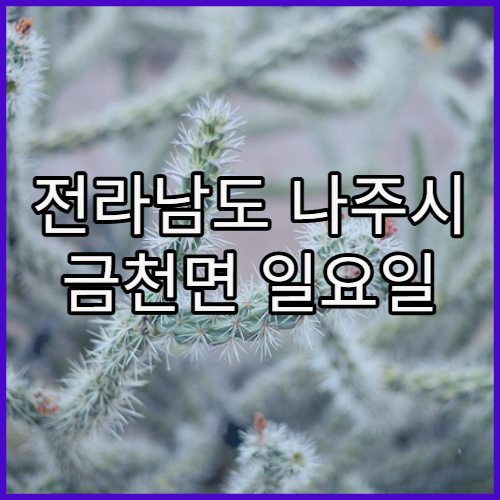 전라남도 나주시 금천면 일요일 당직 약국 찾기 쉬운 방법 정리