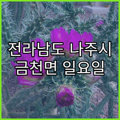 전라남도 나주시 금천면 일요일 주말에도 진료하는 병원 정보