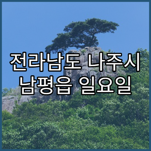 전라남도 나주시 남평읍 일요일 영업 당번 약국 위치와 운영시간 안내