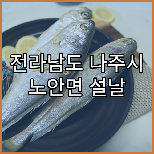전라남도 나주시 노안면 설날 명절 영업 당직 약국 정보 정리