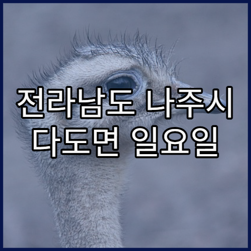 전라남도 나주시 다도면 일요일 진료 병원 주말 이용 가이드