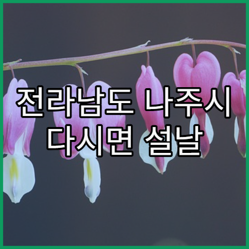 전라남도 나주시 다시면 설날 명절 당번 약국 어디서 여나