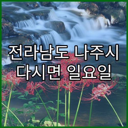전라남도 나주시 다시면 일요일 주말 진료 병원 한눈에 확인