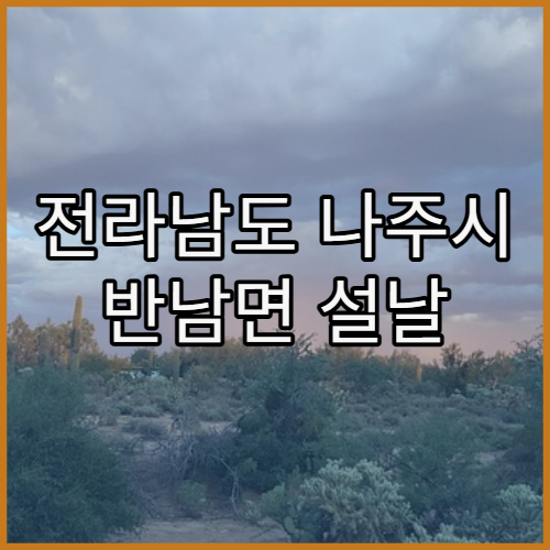 전라남도 나주시 반남면 설날 연휴 영업 당번 약국 한눈에 보기