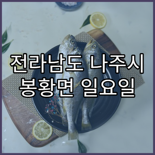 전라남도 나주시 봉황면 일요일 영업 당직 약국 위치 확인 가이드