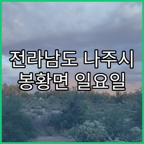 전라남도 나주시 봉황면 일요일 운영 병원 주말 진료 가능한 곳 정리