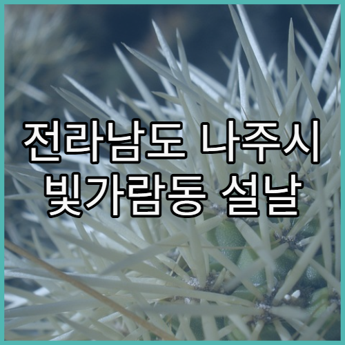 전라남도 나주시 빛가람동 설날 명절 영업 당직 약국 혁신도시 기준