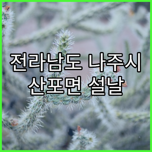 전라남도 나주시 산포면 설날 명절 영업 약국 위치·운영 여부