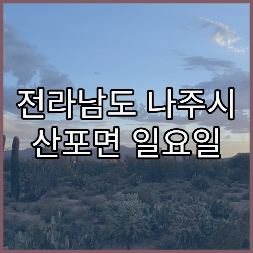 전라남도 나주시 산포면 일요일 문 여는 병원 위치와 진료 가능 시간