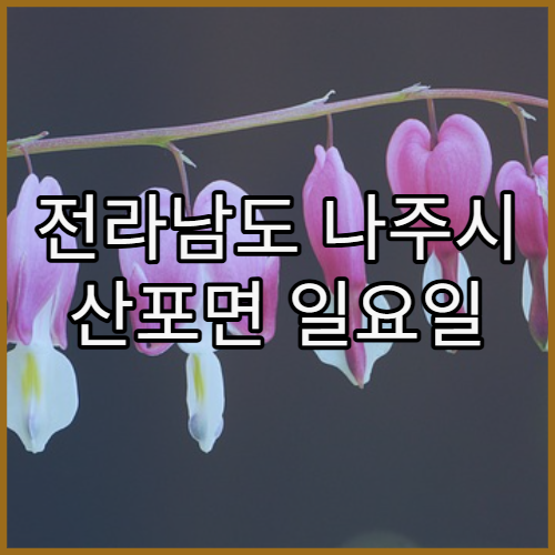 전라남도 나주시 산포면 일요일 문 여는 영업 약국 정보 안내