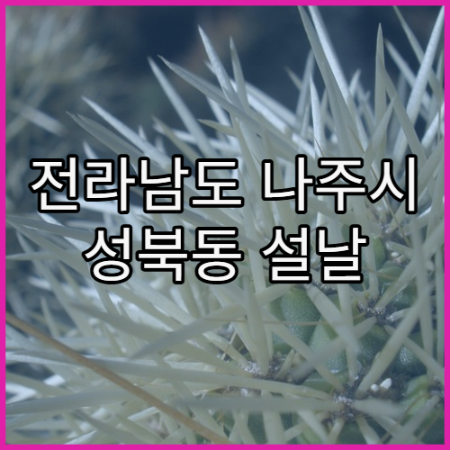 전라남도 나주시 성북동 설날 연휴 영업 약국 찾기 가이드