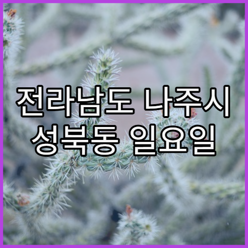 전라남도 나주시 성북동 일요일 영업 약국 위치·전화번호 정리