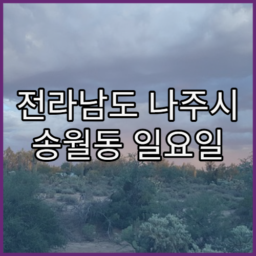 전라남도 나주시 송월동 일요일 영업 당번 약국 위치 한눈에 보기
