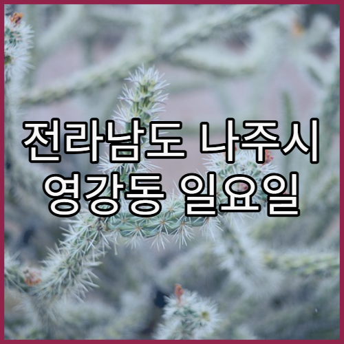 전라남도 나주시 영강동 일요일 문 여는 병원 당일 진료 가능 여부