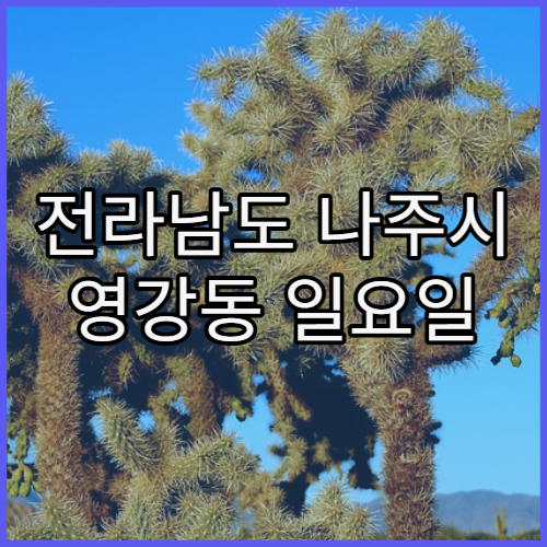 전라남도 나주시 영강동 일요일 문 여는 약국 운영 정보 정리