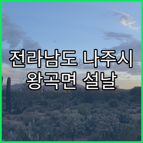 전라남도 나주시 왕곡면 설날 명절에 문 여는 약국 찾기 정보