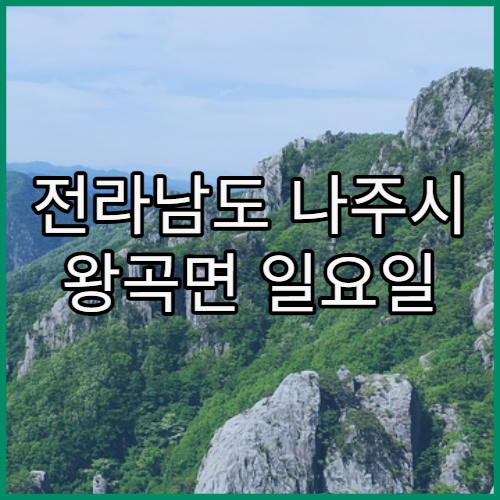 전라남도 나주시 왕곡면 일요일 진료 병원 어디서 받을 수 있을까