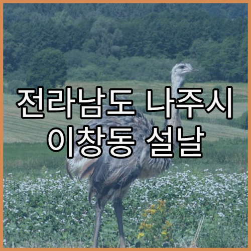 전라남도 나주시 이창동 설날 연휴 문 여는 약국 어디 있을까