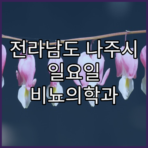 전라남도 나주시 일요일 비뇨의학과 진료 병원 급성 증상 당일 진료 가능 여부