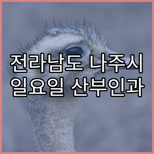 전라남도 나주시 일요일 산부인과 진료 병원 여성질환·응급 상담 주말 운영