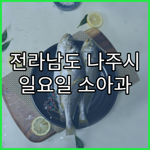 전라남도 나주시 일요일 소아과 진료 병원 아이 아플 때 주말 진료 가능한 곳