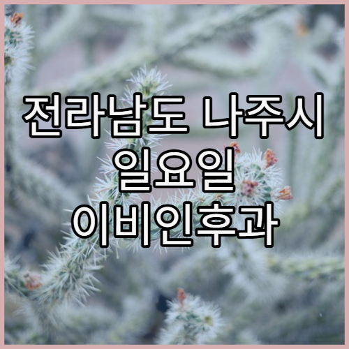 전라남도 나주시 일요일 이비인후과 진료 병원 감기·귀통증 당일 진료 정보