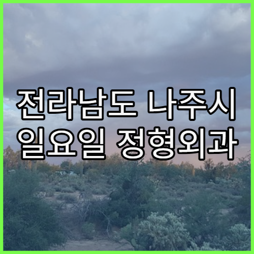 전라남도 나주시 일요일 정형외과 진료 병원 관절·허리 통증 주말 진료 안내