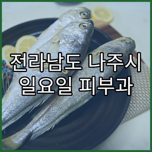 전라남도 나주시 일요일 피부과 진료 병원 알레르기·피부질환 주말 진료 가능