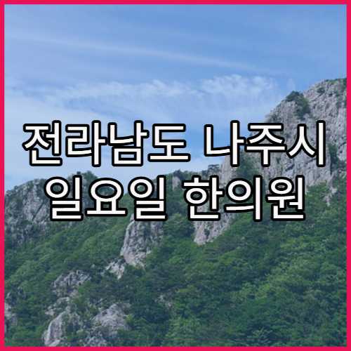 전라남도 나주시 일요일 한의원 진료 침·추나요법 주말 치료 가능한 한의원