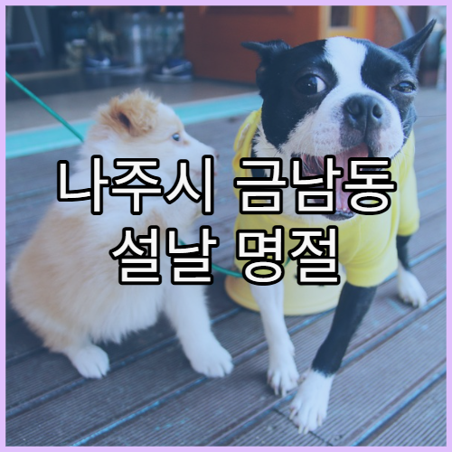 나주시 금남동 설날 명절 연휴 약국 명절 기간 약 조제 가능한 약국 안내