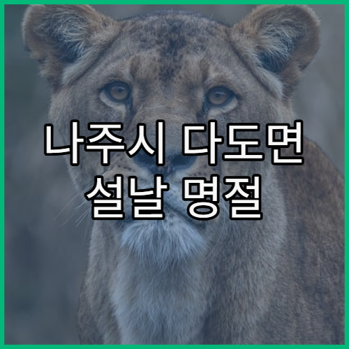 나주시 다도면 설날 명절 연휴 약국 설 연휴 기간 약국 영업 여부 안내
