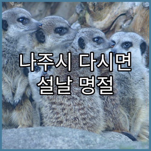 나주시 다시면 설날 명절 연휴 약국 설 연휴 긴급 약 처방 가능한 약국 정보