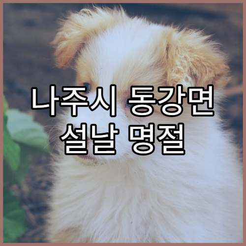 나주시 동강면 설날 명절 연휴 약국 명절 연휴 중 문 여는 약국 위치 정리